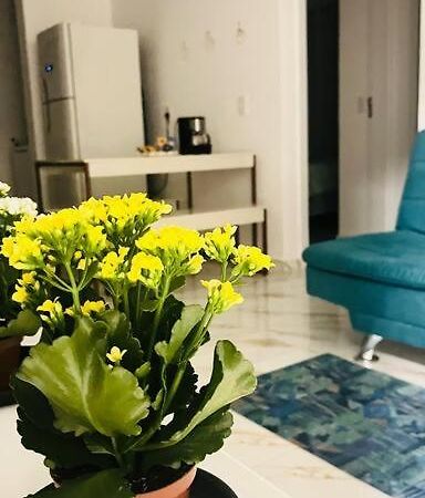 Apartamento No Andar Terreo Фос-ду-Игуасу Экстерьер фото