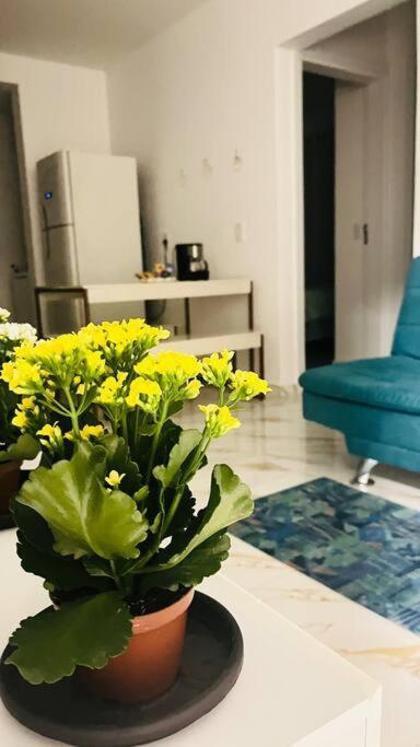 Apartamento No Andar Terreo Фос-ду-Игуасу Экстерьер фото